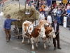 7134 - 100 Jahre Gauangelloch - Festwochenende - Umzug 28