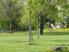 5101 - Freibad Saisoneroeffnung 10.jpg