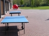 5101 - Freibad Saisoneroeffnung 3.jpg