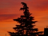5893 - Herbst Sonnenuntergang