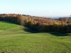 5893 - Herbst Wald Wiesen