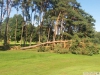 9464 - Sturmschäden Golfplatz Rheintal - 10