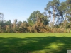 9464 - Sturmschäden Golfplatz Rheintal - 11