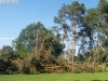 9464 - Sturmschäden Golfplatz Rheintal - 12