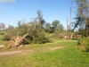 9464 - Sturmschäden Golfplatz Rheintal - 14