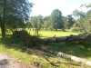 9464 - Sturmschäden Golfplatz Rheintal - 3