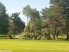 9464 - Sturmschäden Golfplatz Rheintal - 4