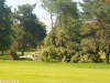 9464 - Sturmschäden Golfplatz Rheintal - 5