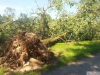 9464 - Sturmschäden Golfplatz Rheintal - 8