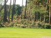 9464 - Sturmschäden Golfplatz Rheintal - 9