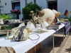 15379-Flohmarkt-Dilje-06