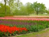 630-hollandfahrt-2