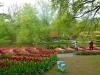 630-hollandfahrt-4