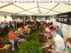 896-hopfezopfe-sandhausen-1-jpg
