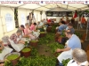 896-hopfezopfe-sandhausen-3-jpg