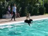 18182-Hundebadetag-20