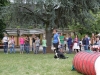4026-hundefreunde-ga-im-zoo-hd-1