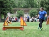 4026-hundefreunde-ga-im-zoo-hd-6