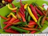 998-paprika-und-peperonie-nusslochs-schaerfstes-eck-4-jpg