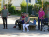 14346-Musikschule-Konzert-05