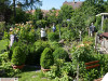 15334-Offene-Gaerten-15