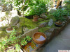 15334-Offene-Gaerten-6