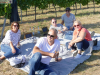 14263-Picknickweinprobe-02