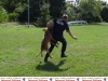 799-pd-hundestaffel-11-jpg