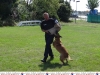 799-pd-hundestaffel-12-jpg