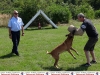 799-pd-hundestaffel-13-jpg