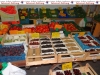 698-querbeet-6