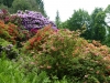 2194 - Rhododendron-Anlage HD - 10.jpg