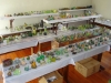 4138-rudi-sailers-froschsammlung-15