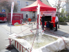 12254-Frühlingsfest-Sandhausen-3