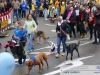 7965 - Sandhausen - Kerwe 2016 - 35