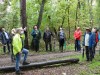 16916-GR-Waldbegehung-10