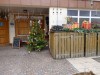 15959-EDing-KiGa-Weihnachtsmarkt-18