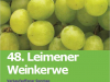 12990-Weinkerwe-1-gross