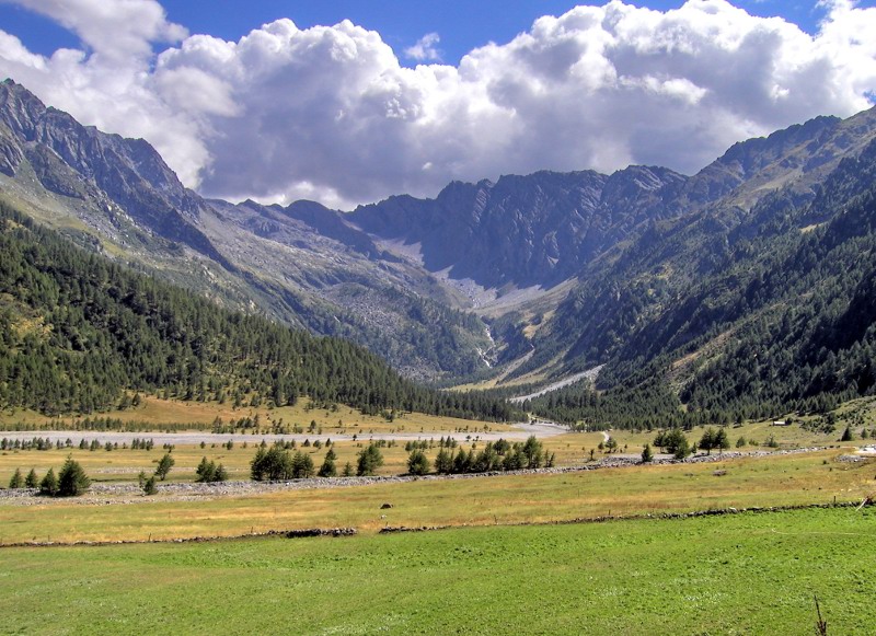 Sample image caption