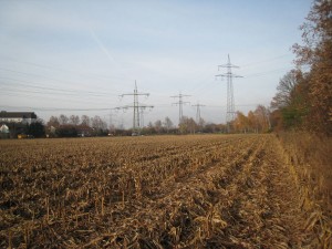 1011 - ÖKOGRUNDSTÜCK 001