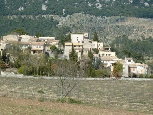 1030 - MSC Mallorca Bild 6