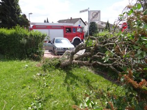 1209 - Unfall 1