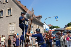 8DSC_0342