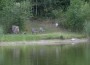Sport-Angel-Club-Mysterium: Wo sind ca. 35.000 m3 Wasser geblieben?