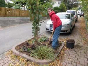 Menzerpark 2012 Bild 2