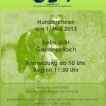 339 - Hunderennen