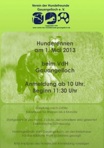 339 - Hunderennen