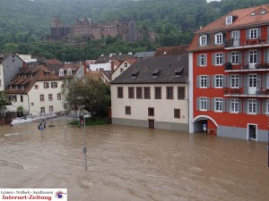 489 - Hochwasser Heidelberg