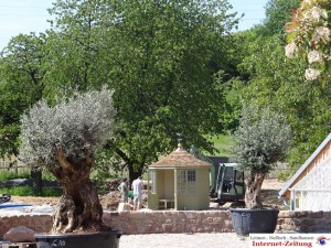 524 - Summerhouse Lingental 2