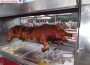 4 Tage Grillparty bei Gut Holz Sandhausen – Heute mit Jungschwein vom Grill